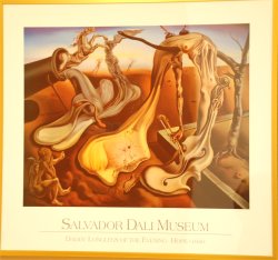 夜の蜘蛛・希望Ⅰ