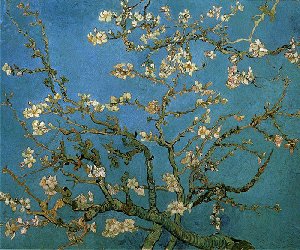 花咲くアーモンドの小枝